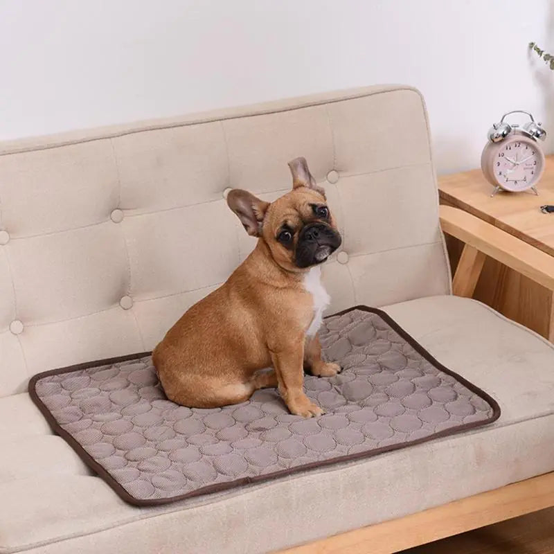 Pet Cooling Mat for Hot Days