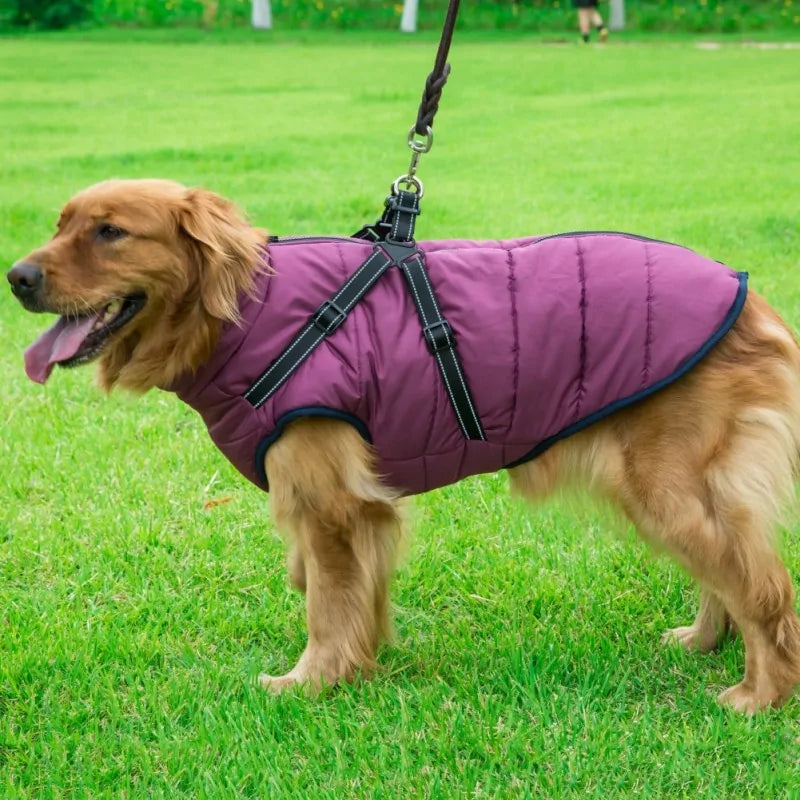 Dog Jacket with Integrated Harness