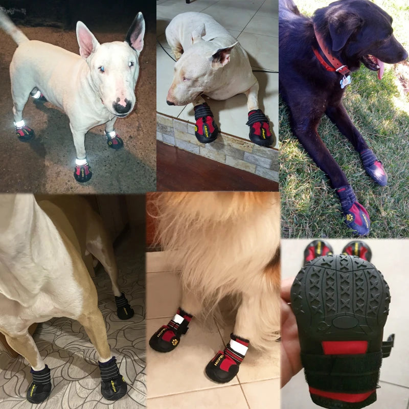 4-Piece Dog Shoe Set