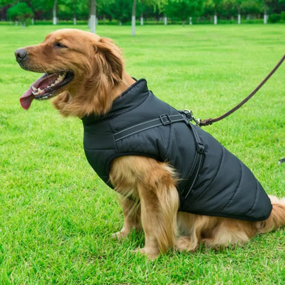 Dog Jacket with Integrated Harness