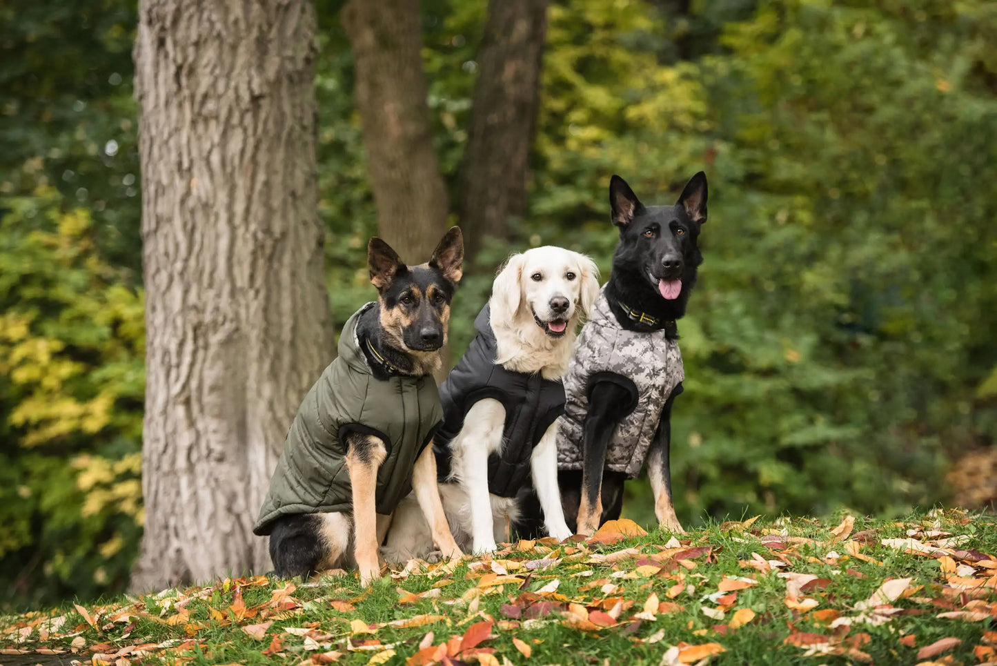 Army-Style Dark Camo Dog Jacket