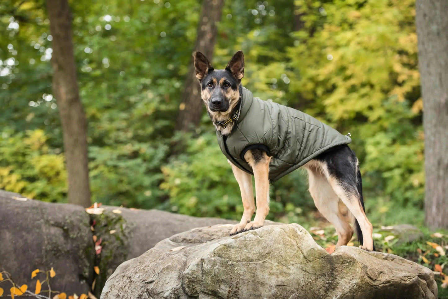 Army-Style Dark Camo Dog Jacket