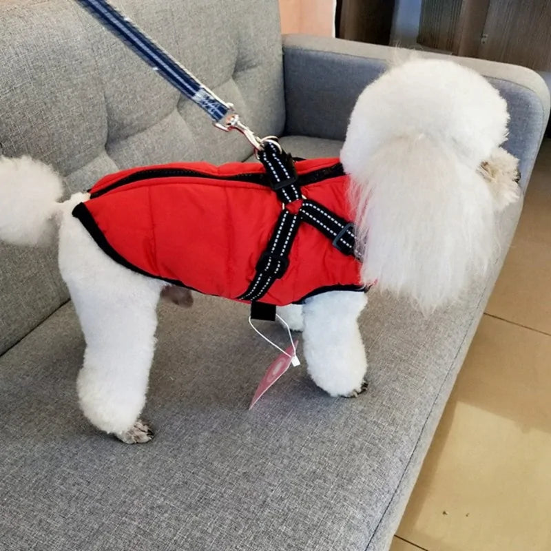 Dog Jacket with Integrated Harness