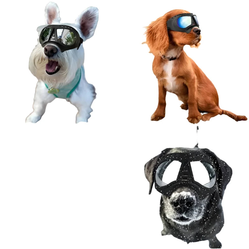 Dog Sunglass Windproof Summer Goggles Protection